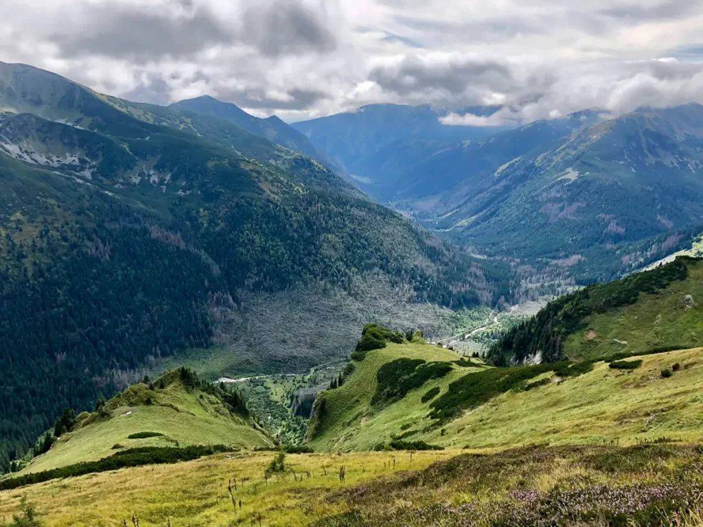 Panorama Tatr widziana z górskiego szlaku