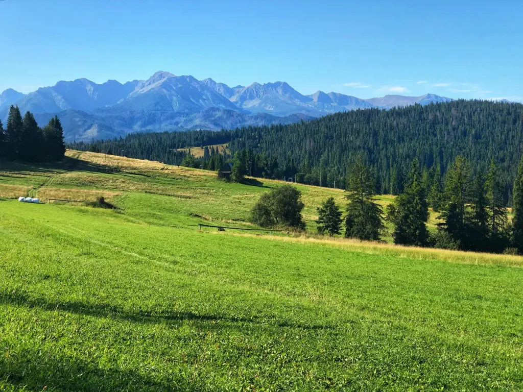 Górski szlak w Tatrach